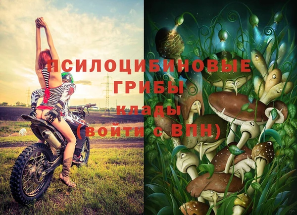 прущая мука Белоозёрский