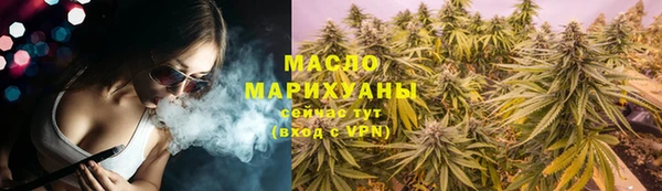 индика Гусь-Хрустальный